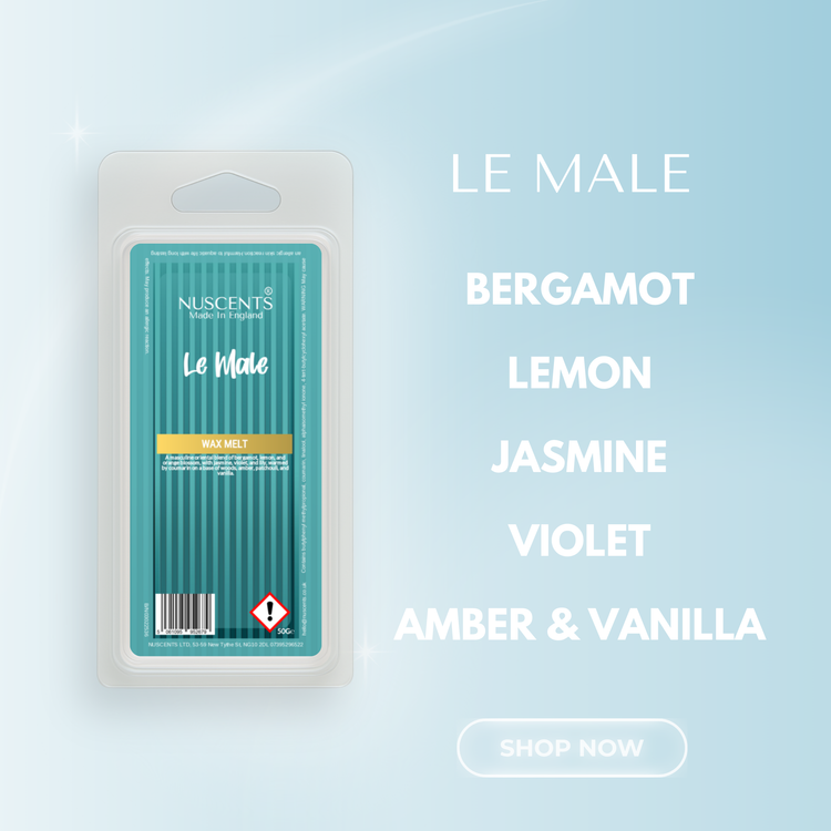 Le Male Wax Melt Scent Notes