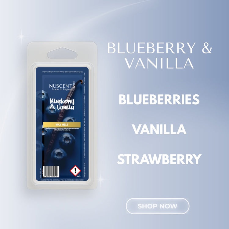 Blueberry & Vanilla Wax Melt Scent Notes
