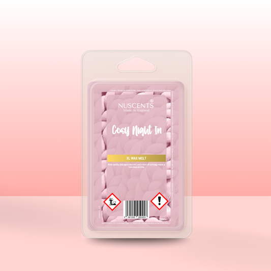 *LAST CHANCE Cosy Night In Wax Melt 100g XL