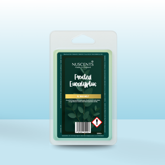 Frosted Eucalyptus Wax Melt 100g XL
