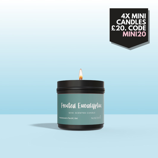 Frosted Eucalyptus Mini Candle - Nuscents