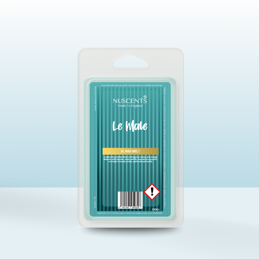 *LIMITED EDITION Le Male (JPG) XL Wax Melt - Nuscents