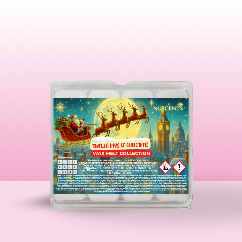 BLACK FRIDAY DEAL Twelve Days Of Christmas Wax Melt Box