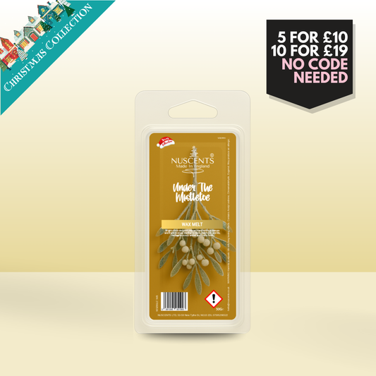 50g *CHRISTMAS Under The Mistletoe Scented Wax Melt