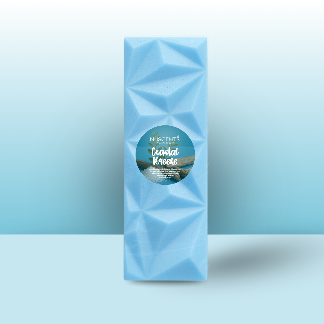 *Coastal Breeze - Original Wax Melt Snap Bar XL