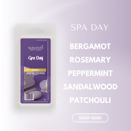 Spa Day Wax Melts
