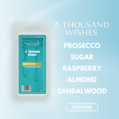 A Thousand Wishes Wax Melts
