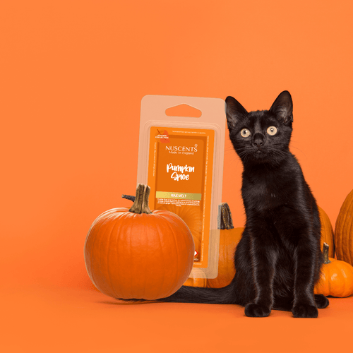 Halloween Wax Melts