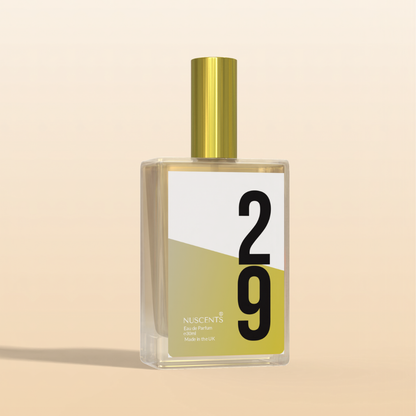 29 - Eau De Parfum Inspired By One Million - Nuscents