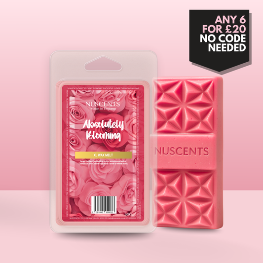 *LAST CHANCE Absolutely Blooming (Miss Dior) Wax Melt 100g XL