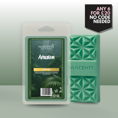 *NEW Amazon Wax Melt 100g XL