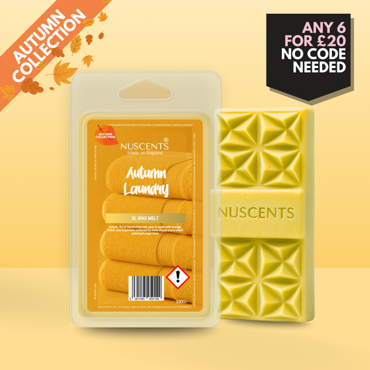 *AUTUMN Autumn Laundry Wax Melt 100g XL