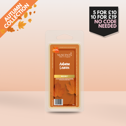 50g *AUTUMN Autumn Leaves Scented Wax Melt