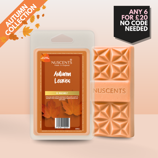 *AUTUMN Autumn Leaves Wax Melt 100g XL