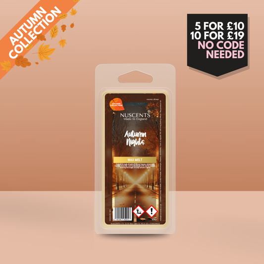 50g *AUTUMN Autumn Nights Scented Wax Melt