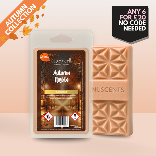 *AUTUMN Autumn Nights Wax Melt 100g XL