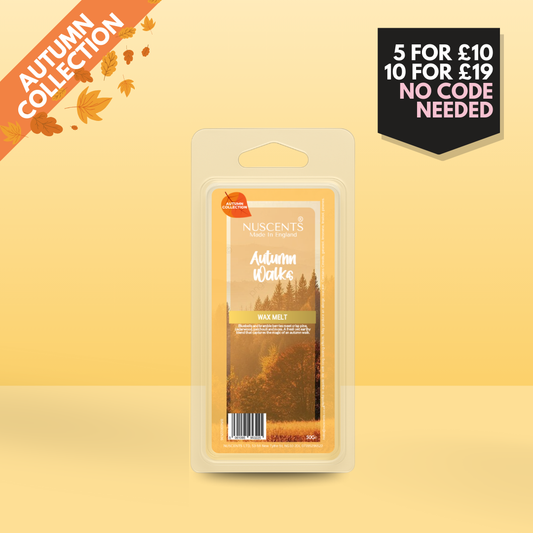 50g *AUTUMN Autumn Walks Scented Wax Melt