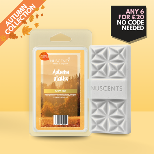 *AUTUMN Autumn Walks Wax Melt 100g XL
