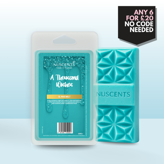 *LIMITED EDITION A Thousand Wishes Wax Melt 100g XL