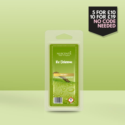 50g *LAST CHANCE Be Delicious Scented Wax Melt