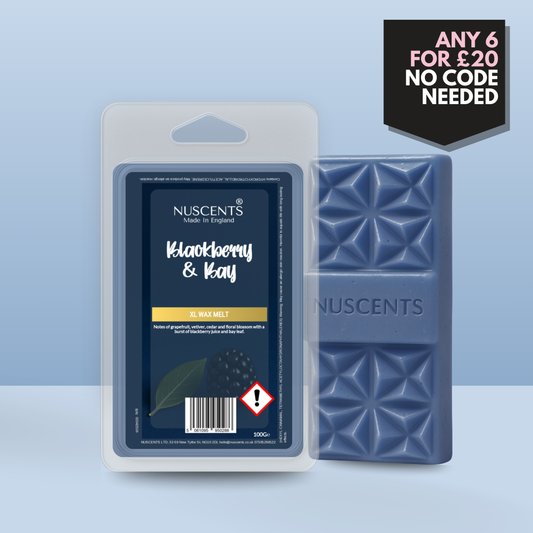 *LAST CHANCE Blackberry & Bay Wax Melt 100g XL