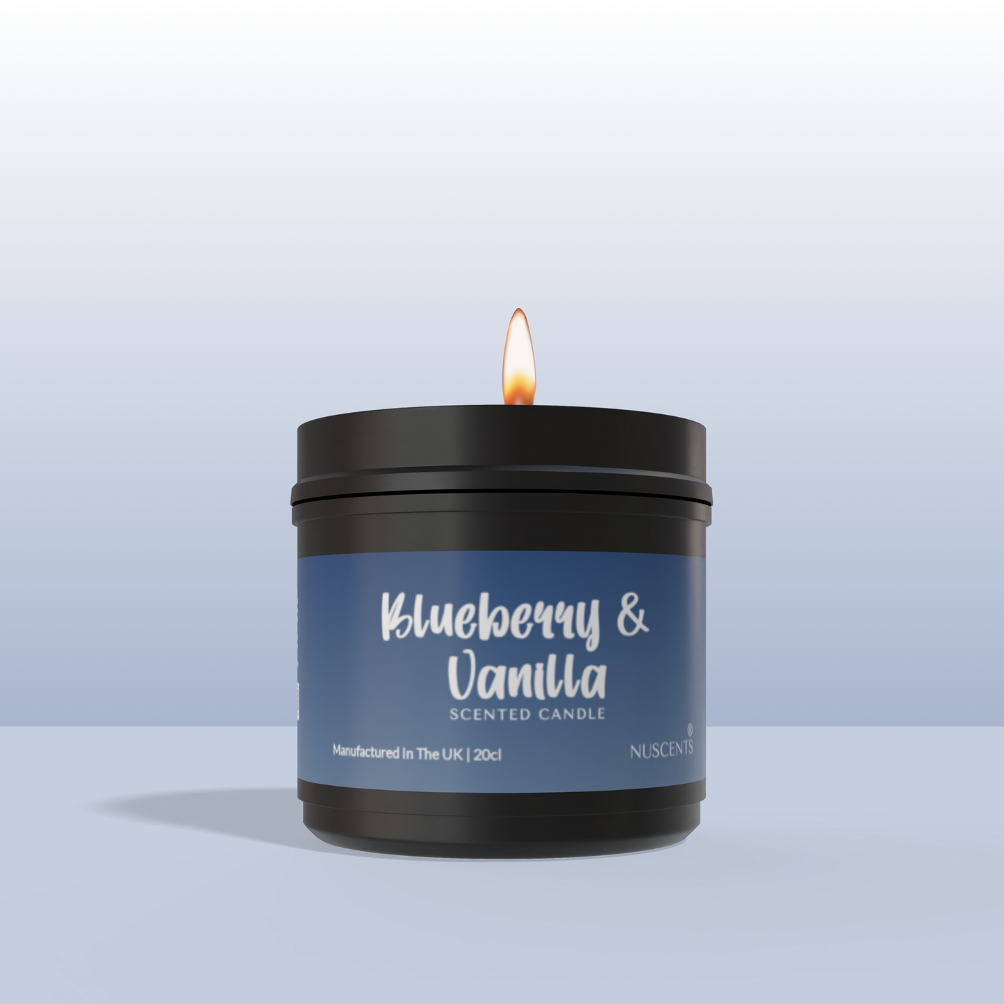 Blueberry & Vanilla Scented Candle 20cl