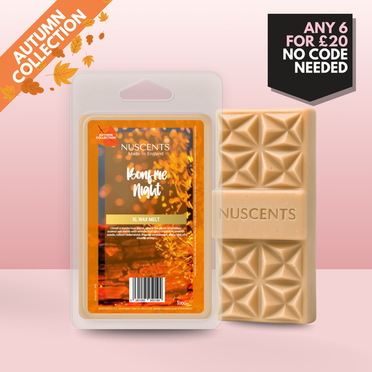 *AUTUMN Bonfire Night Wax Melt 100g XL