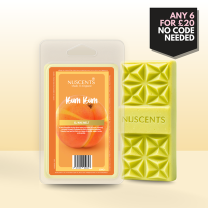 Bum Bum Wax Melt 100g XL