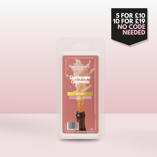 50g *NEW Champagne Supernova Scented Wax Melt