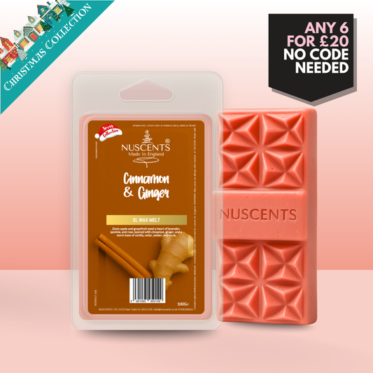 *CHRISTMAS Cinnamon & Ginger Wax Melt 100g XL