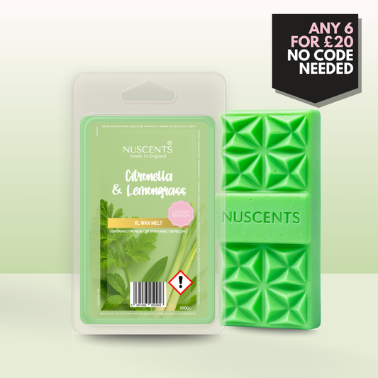 *LIMITED EDITION Citronella & Lemongrass Wax Melt 100g XL