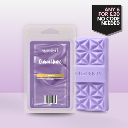 Clean Home Wax Melt 100g XL