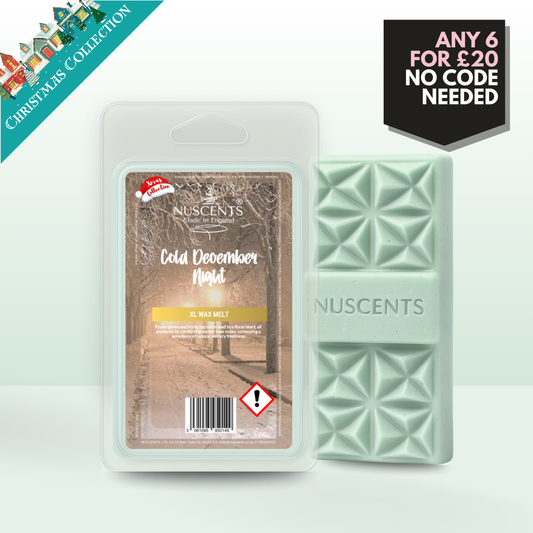 *CHRISTMAS Cold December Night Wax Melt 100g XL