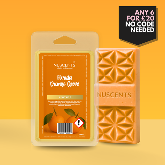 *LAST CHANCE Florida Orange Grove Wax Melt 100g XL