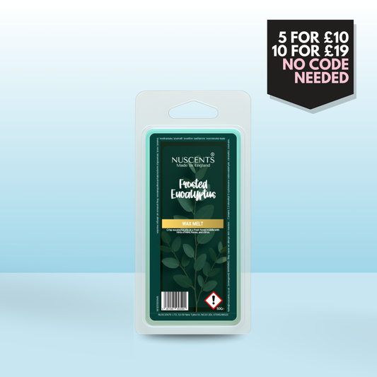 50g Frosted Eucalyptus Scented Wax Melt
