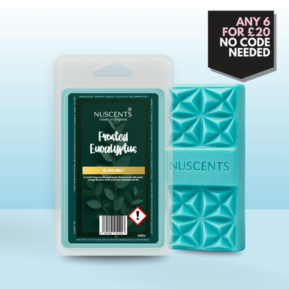 Frosted Eucalyptus Wax Melt 100g XL