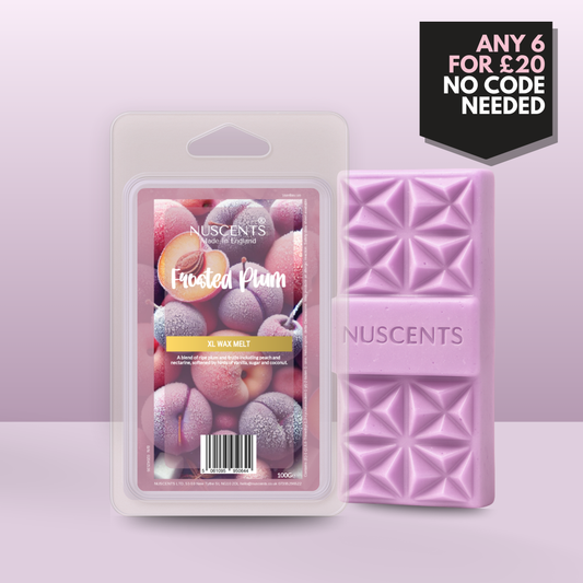 *LIMITED EDITION Frosted Plum Wax Melt 100g XL