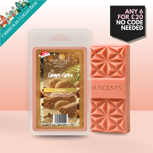 *CHRISTMAS Ginger Spice Wax Melt 100g XL