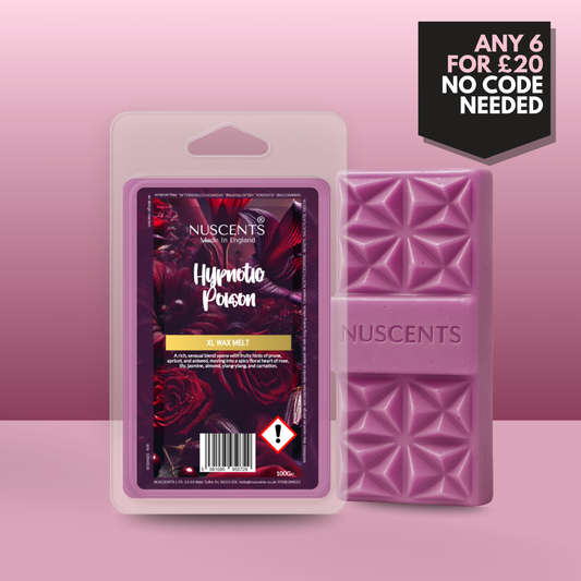 *LIMITED EDITION Hypnotic Poison Wax Melt 100g XL
