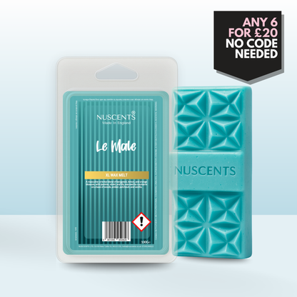 *LIMITED EDITION Le Male (JPG) Wax Melt 100g XL