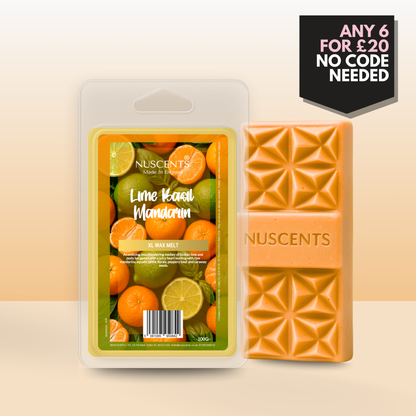 Lime, Basil & Mandarin Wax Melt 100g XL