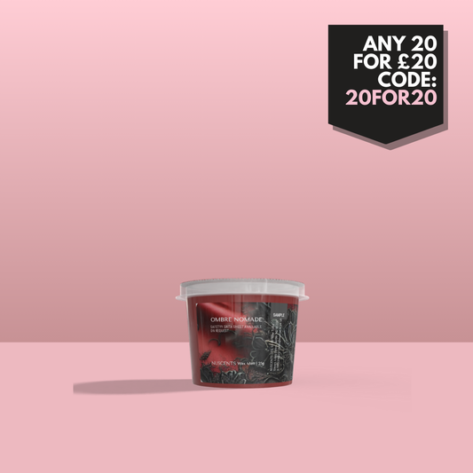 Ombre Nomade Wax Melt Sample 25g