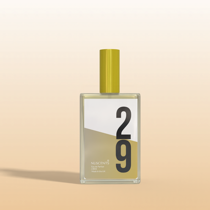 29 - Eau De Parfum Inspired By One Million - Nuscents