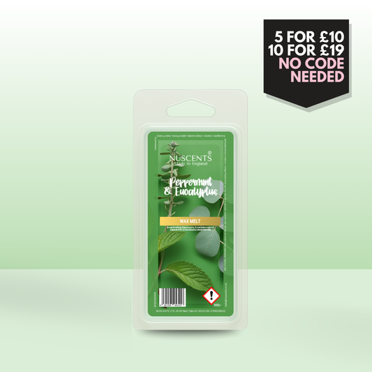 50g *LIMITED EDITION Peppermint & Eucalyptus Scented Wax Melt