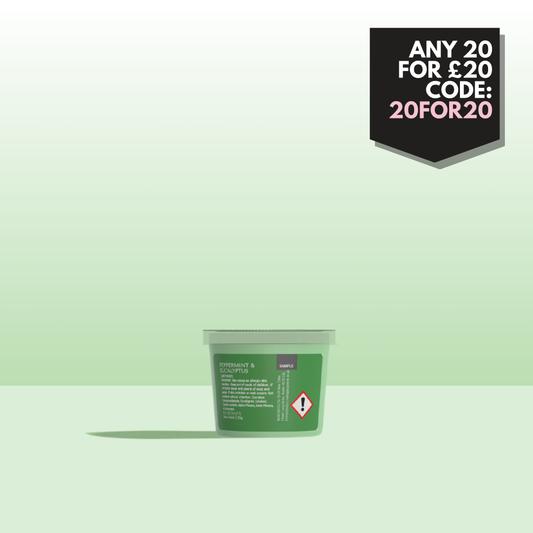 LAST CHANCE Peppermint & Eucalyptus Wax Melt Sample 25g - Nuscents