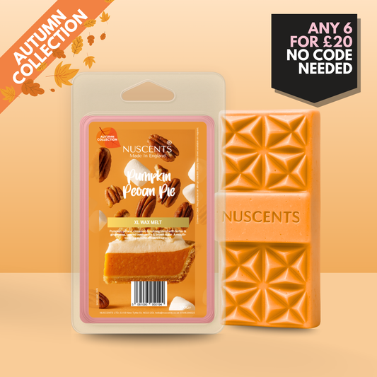 *AUTUMN Pumpkin Pecan Pie Wax Melt 100g XL
