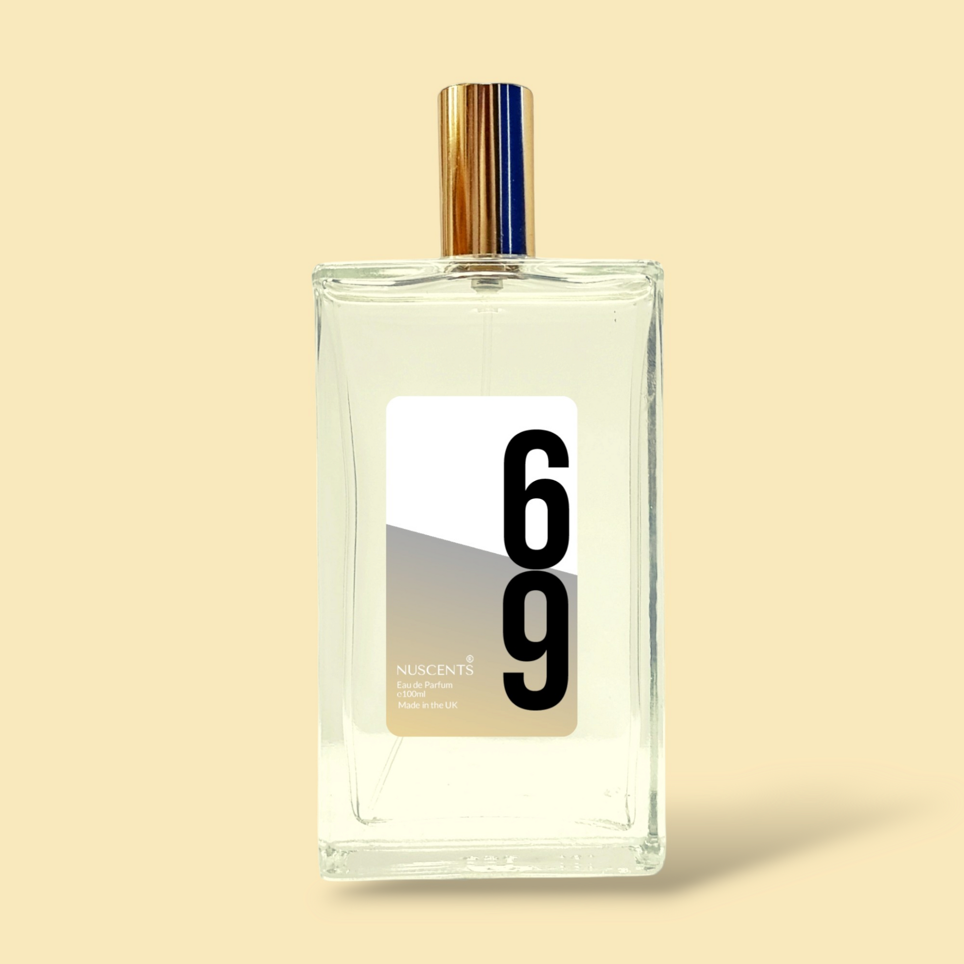69 - Eau De Parfum Inspired By Acqua Di Gio 100ml