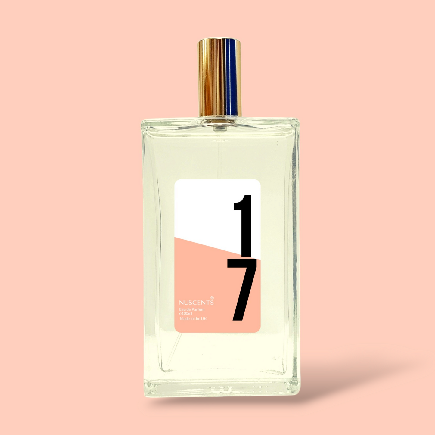 17 - Eau De Parfum Inspired By Bloom 100ml