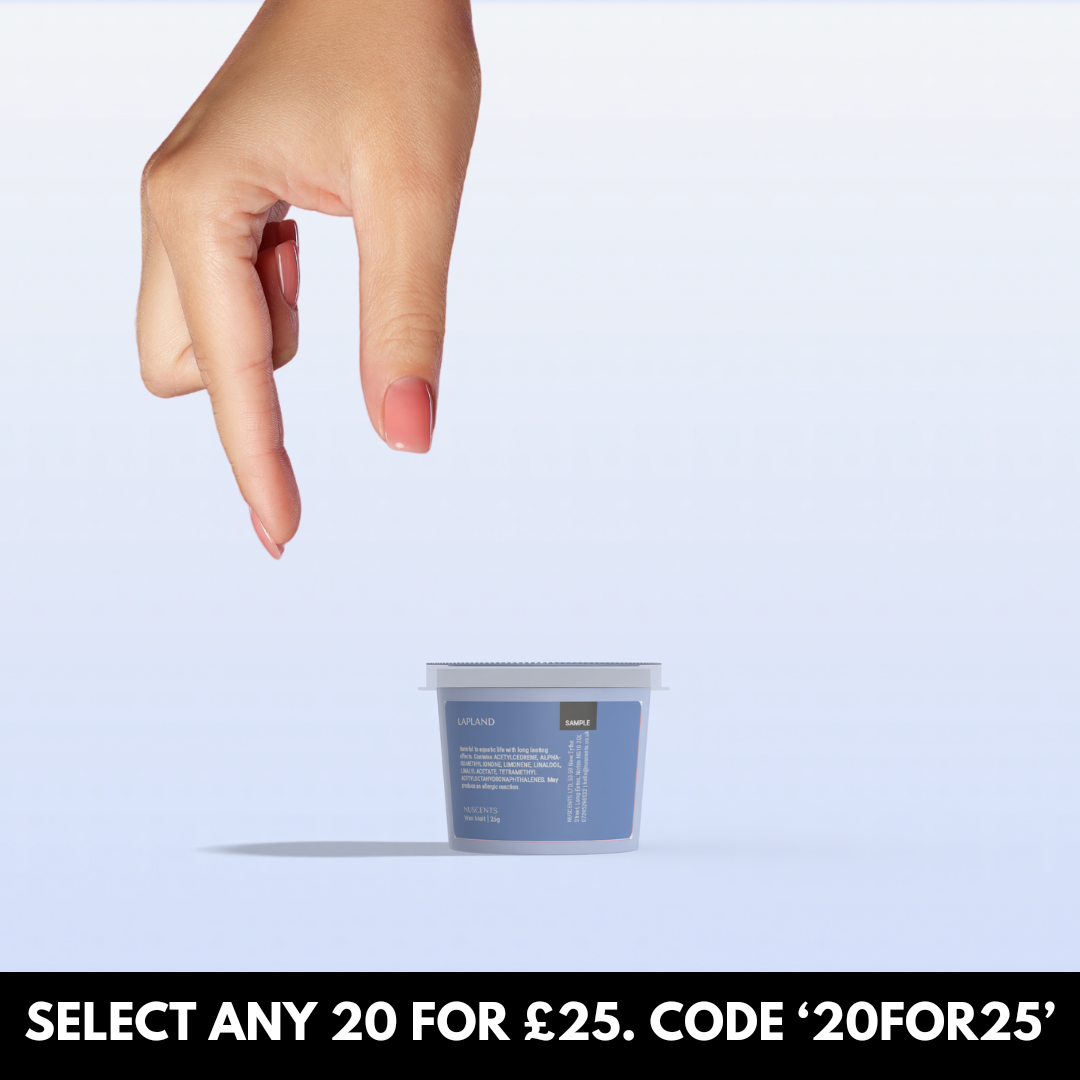 LAST CHANCE Lapland Wax Melt Sample 25g