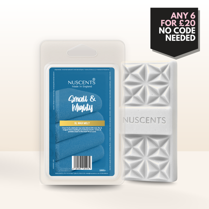 Small & Mighty Wax Melt 100g XL